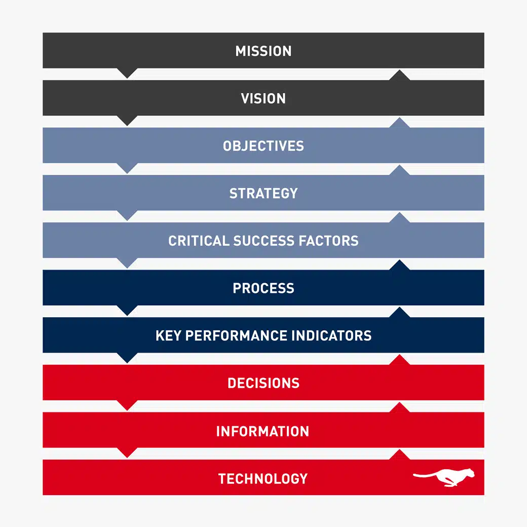 FLS-success-model